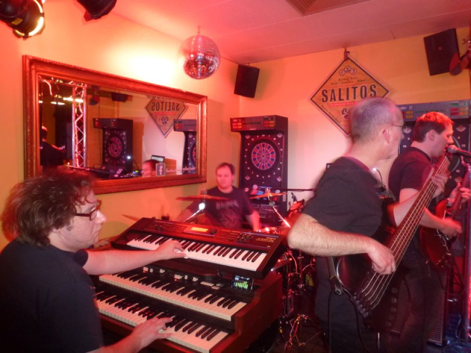 greven gelberkater 2013 03